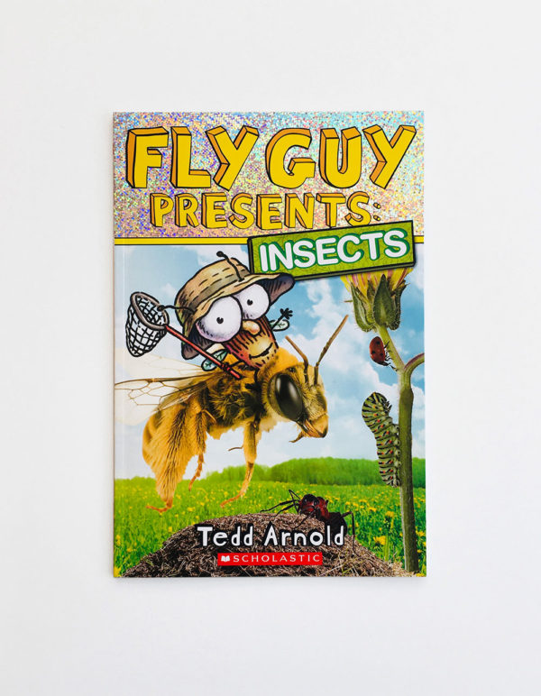 FLY GUY PRESENTS INSECTS