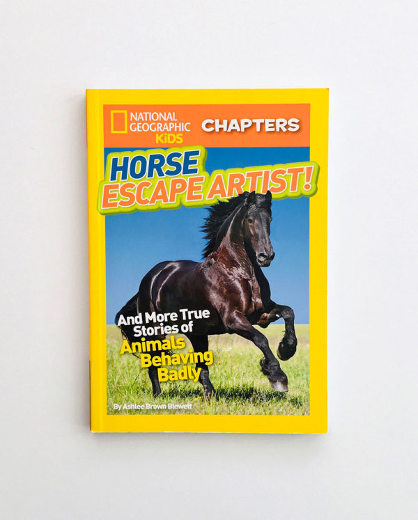 NAT GEO CHAPTERS: HORSE ESCAPE ARTIST!