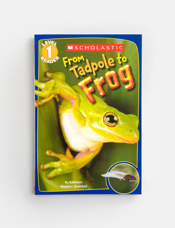 SCHOLASTIC READER #1: FROM TADPOLE TO FROG